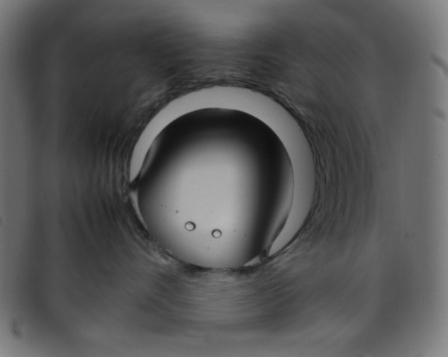 X0000098100528200804251407