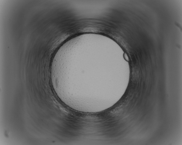 X0000098100529200804251406