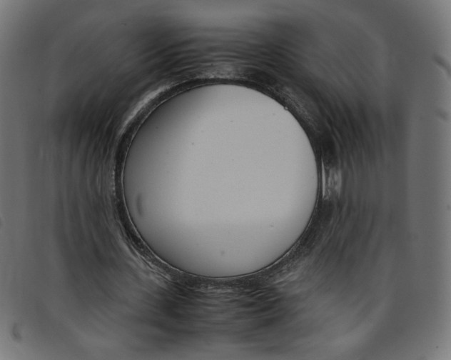 X0000098100531200804251406