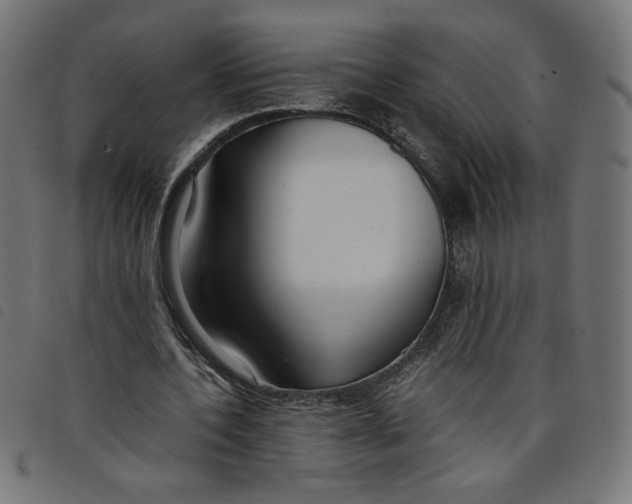 X0000098100532200804251406