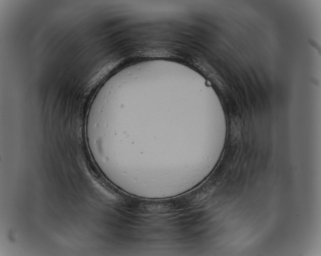 X0000098100533200804251407