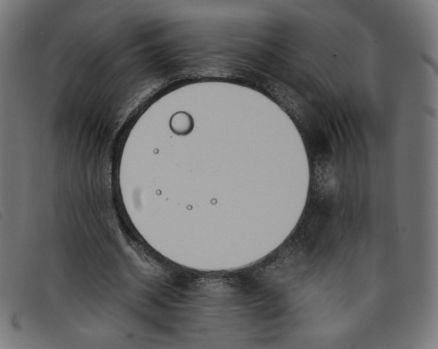 X0000098100534200804251407