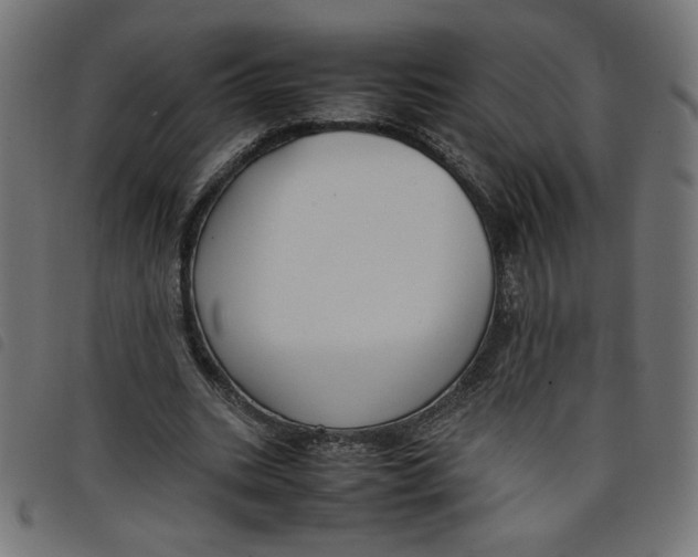 X0000098100535200804251407