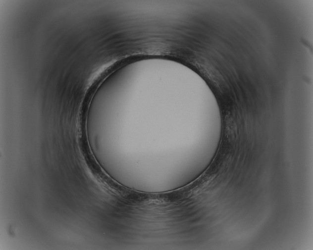 X0000098100536200804251407