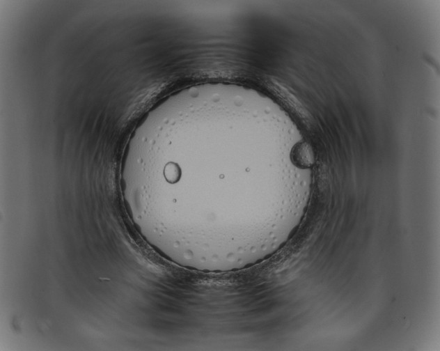 X0000098100537200804251407