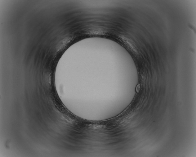 X0000098100539200804251407