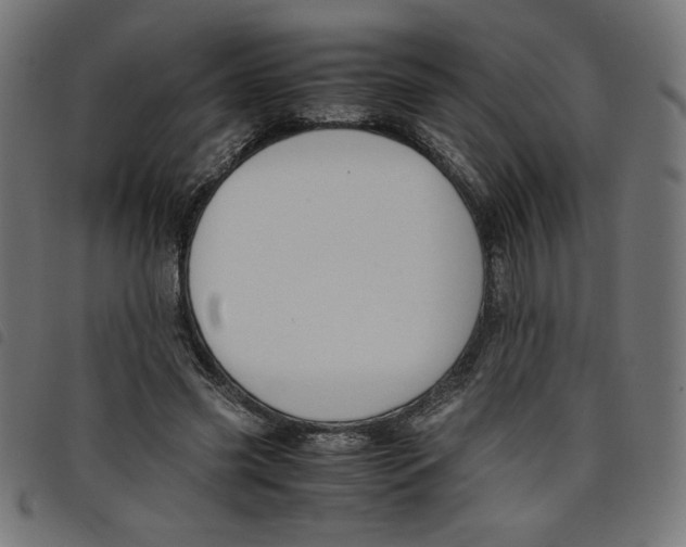 X0000098100541200804251407