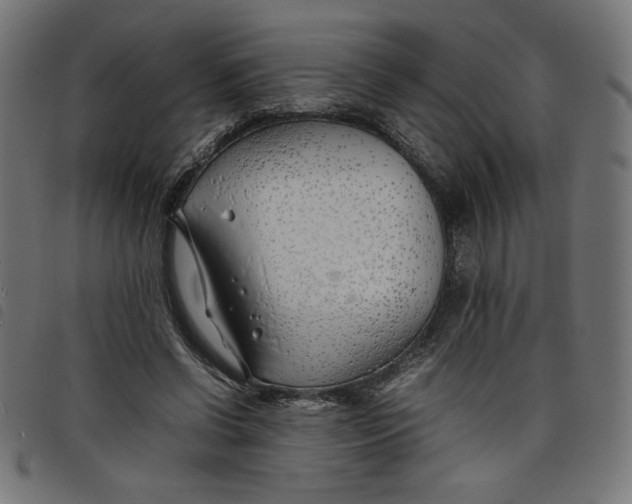 X0000098100542200804251407