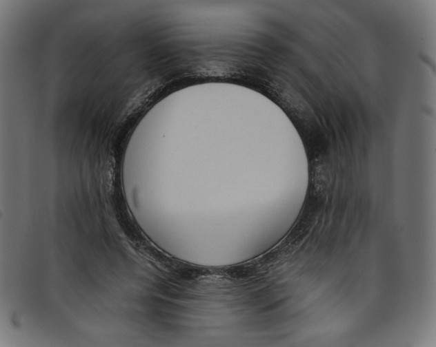 X0000098100544200804251407