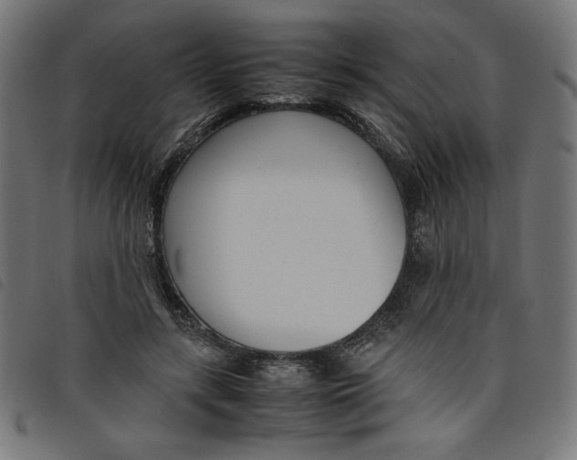 X0000098100547200804251407