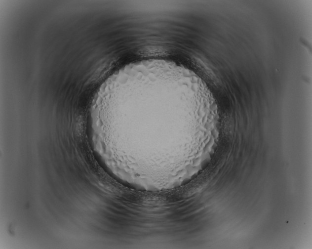 X0000098100549200804251407
