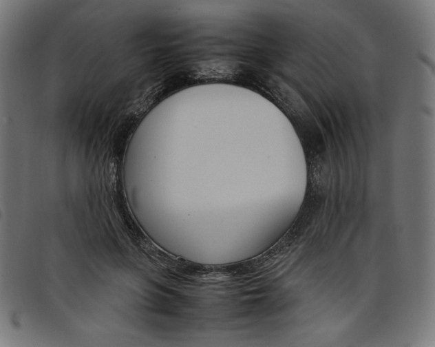 X0000098100551200804251407