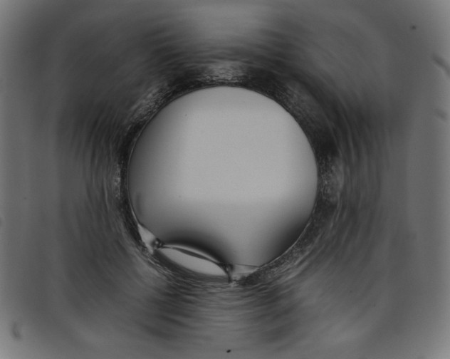 X0000098100552200804251407