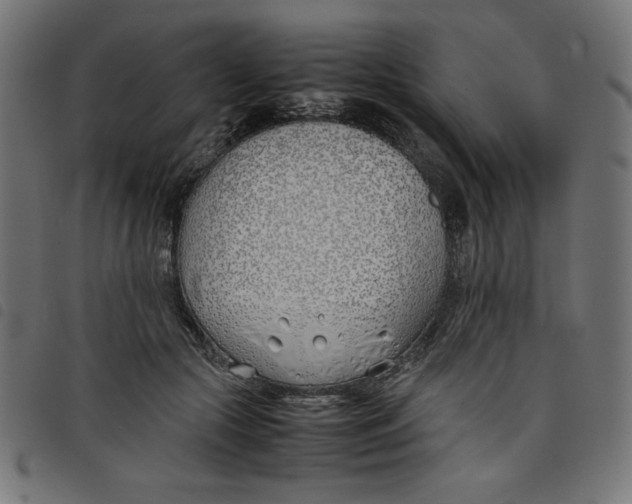 X0000098100553200804251407