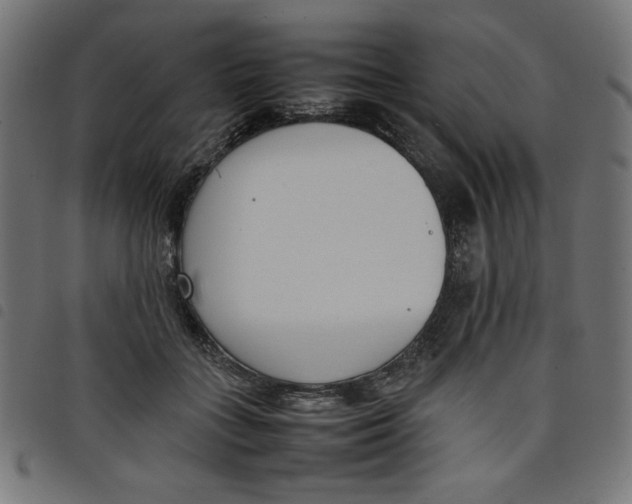 X0000098100555200804251407