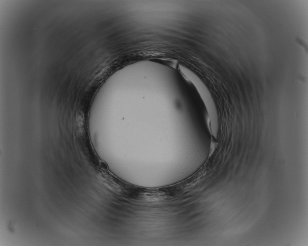 X0000098100556200804251407