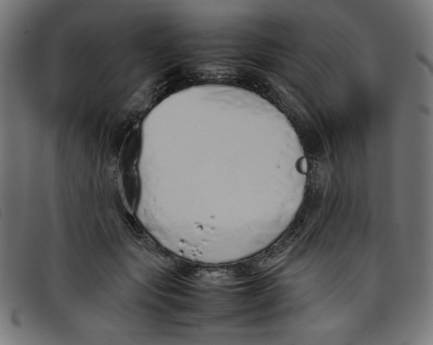 X0000098100557200804251407