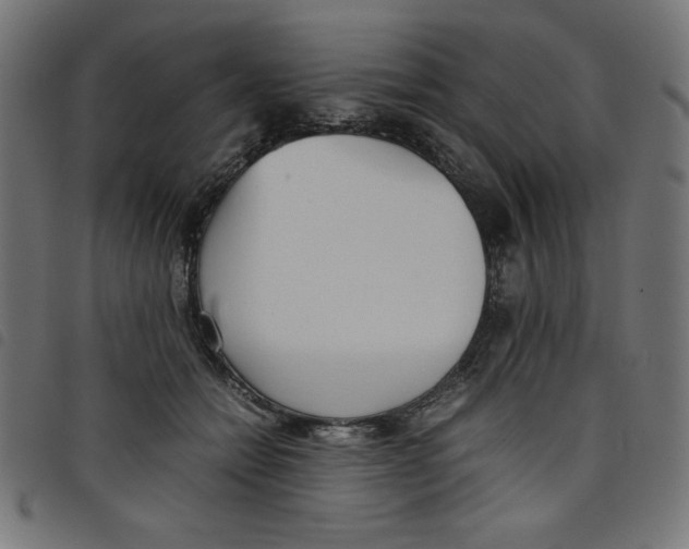 X0000098100558200804251407