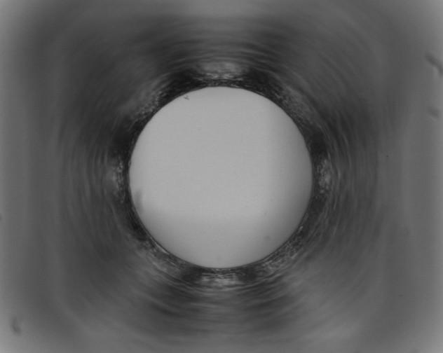 X0000098100559200804251407