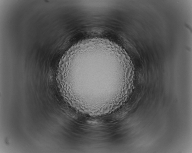 X0000098100561200804251407