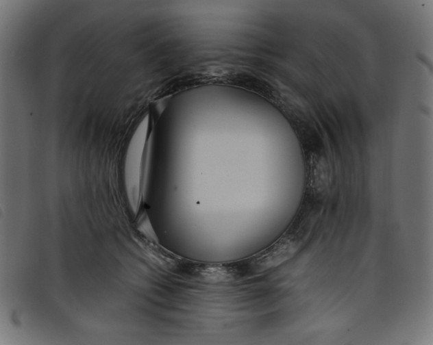 X0000098100562200804251407