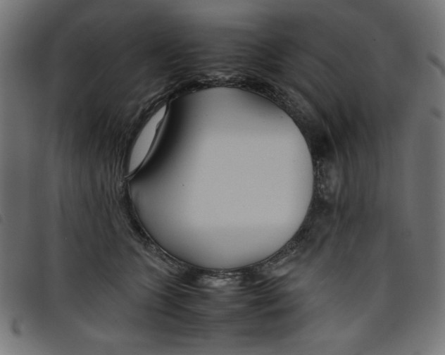 X0000098100563200804251407