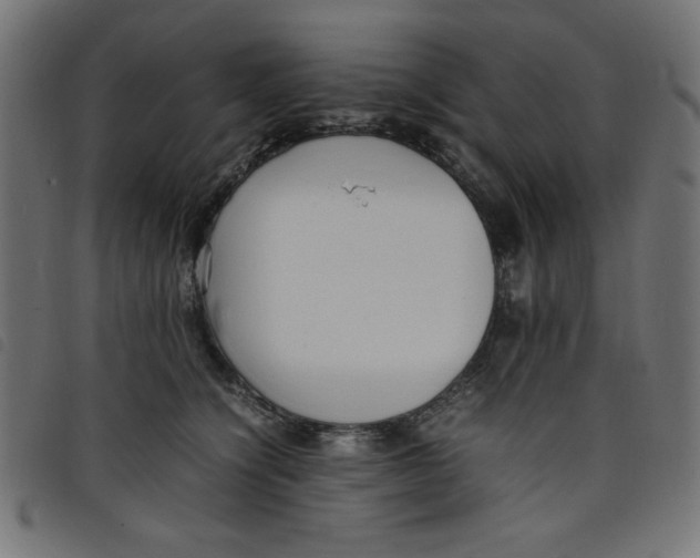 X0000098100564200804251407