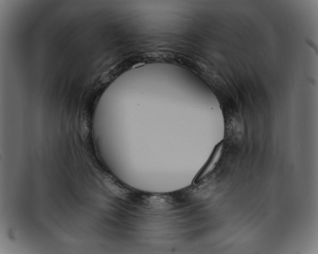 X0000098100566200804251407