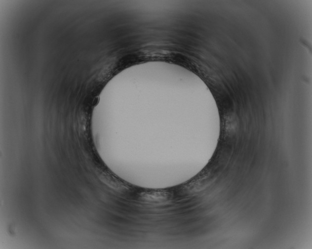 X0000098100567200804251407