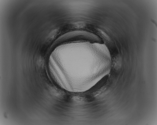 X0000098100568200804251407