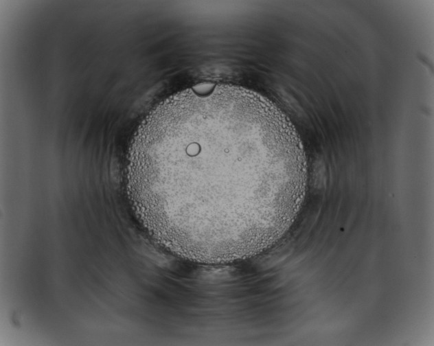 X0000098100569200804251407