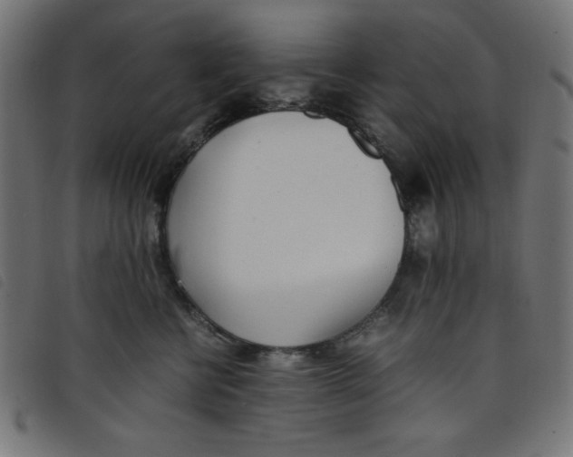 X0000098100570200804251407