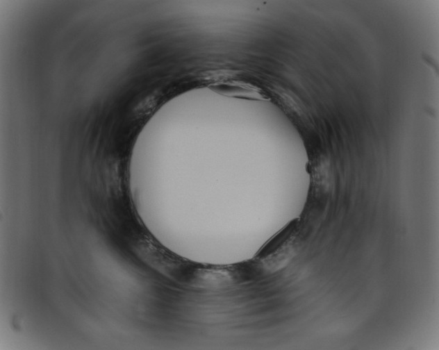 X0000098100572200804251407