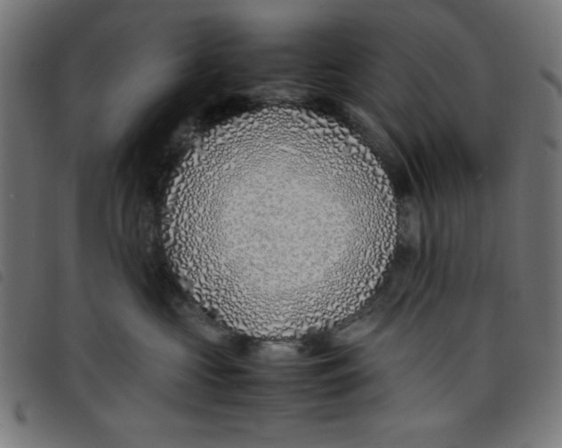 X0000098100573200804251407