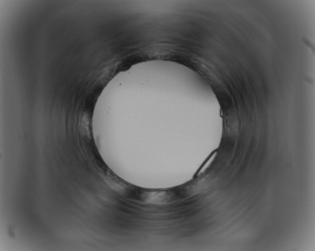 X0000098100575200804251407