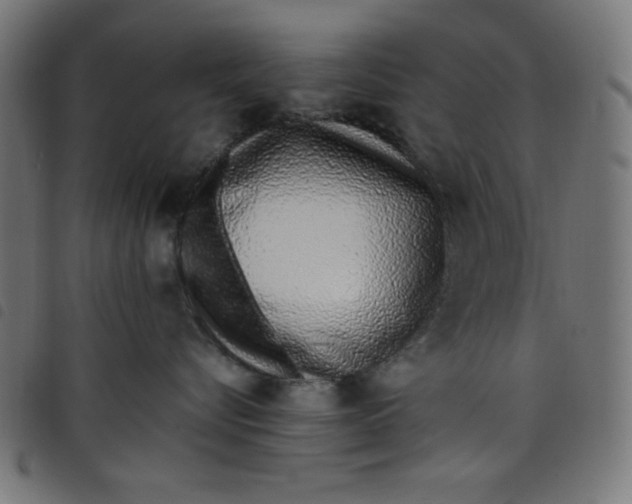 X0000098100576200804251407