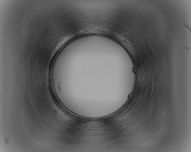 X0000098100578200804251406