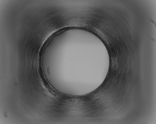 X0000098100580200804251406