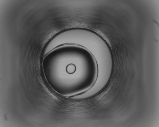 X0000098100581200804251406