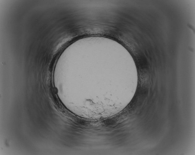 X0000098100583200804251406