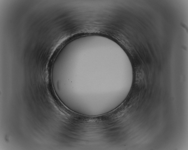 X0000098100584200804251406