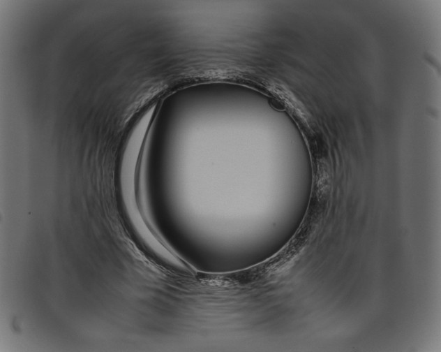 X0000098100585200804251406