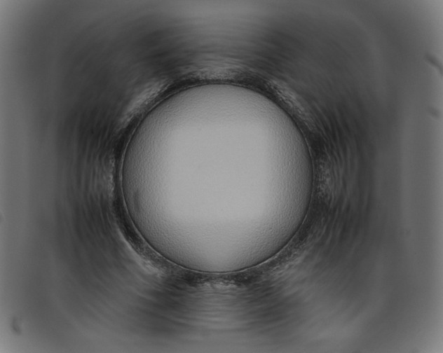 X0000098100586200804251406