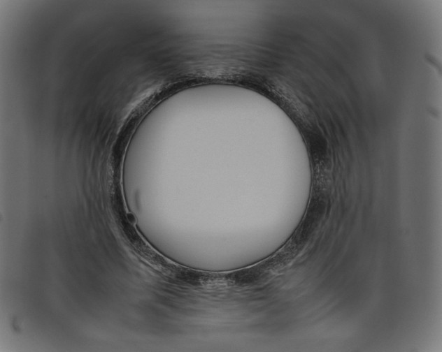 X0000098100587200804251406