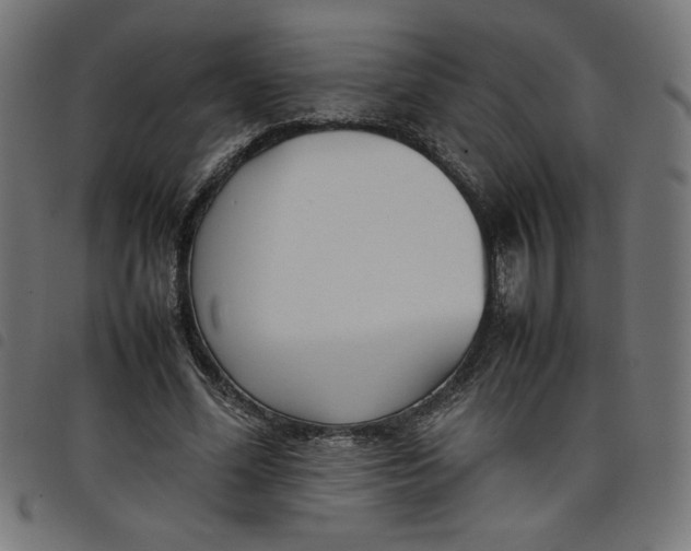 X0000098100588200804251406