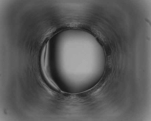 X0000098100589200804251406