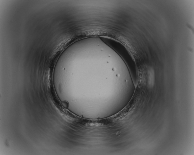X0000098100590200804251406