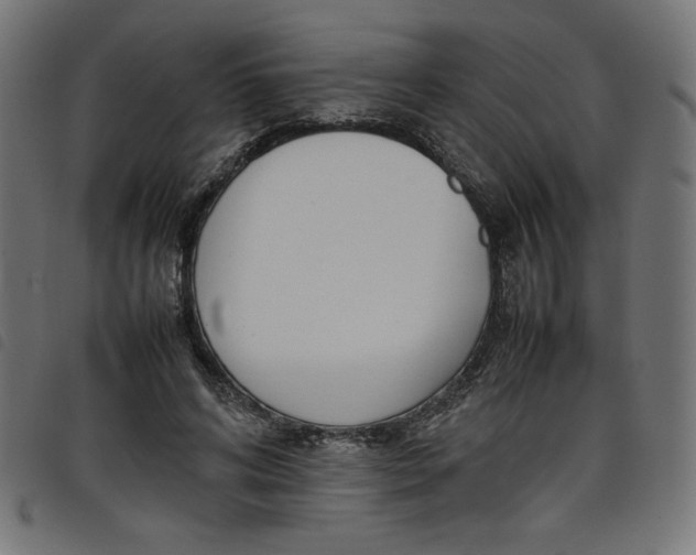 X0000098100592200804251406