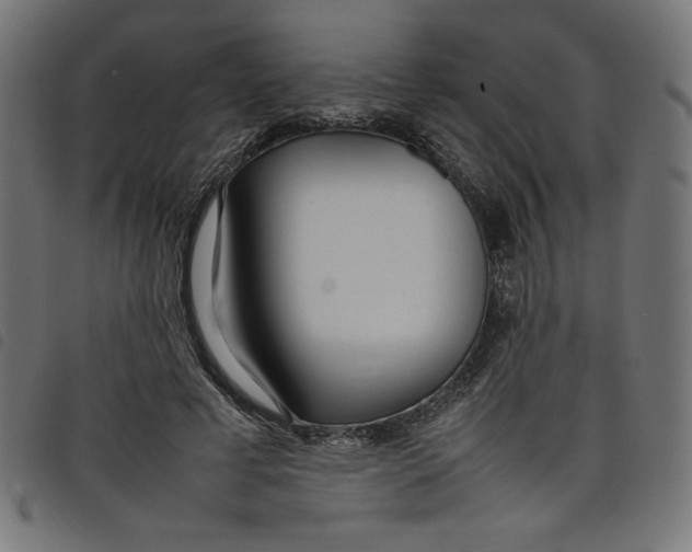 X0000098100593200804251406
