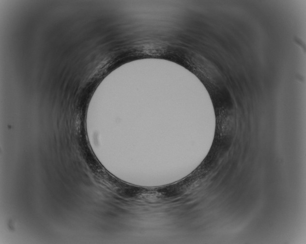 X0000098100595200804251406